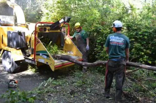 tree services Le Grand